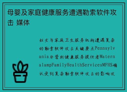 母婴及家庭健康服务遭遇勒索软件攻击 媒体