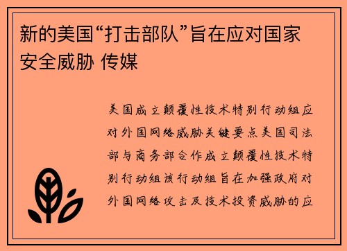 新的美国“打击部队”旨在应对国家安全威胁 传媒